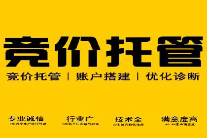 竞价托管策略优化：一则提高点击率的实例